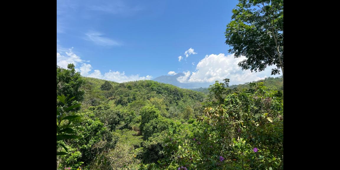 Tanah 82rb/m View Gunung Lawu Karanganyar Tanah 82rb/m View Gunung Lawu Karanganyar