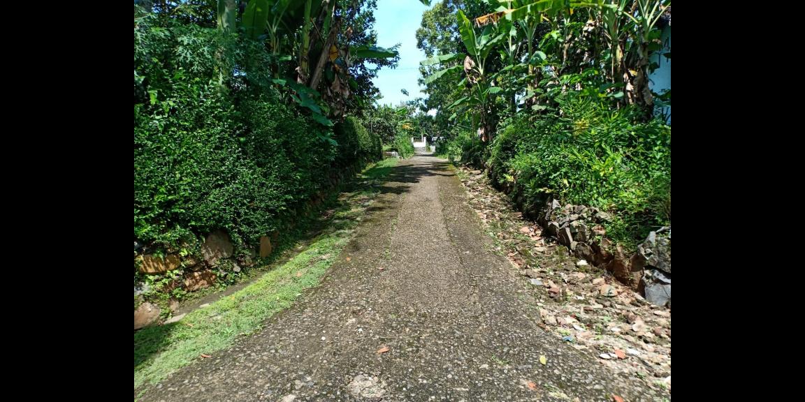 Tanah Cocok Untuk Kebun Durian Kerjo Karanganyar Tanah Cocok Untuk Kebun Durian Kerjo Karanganyar