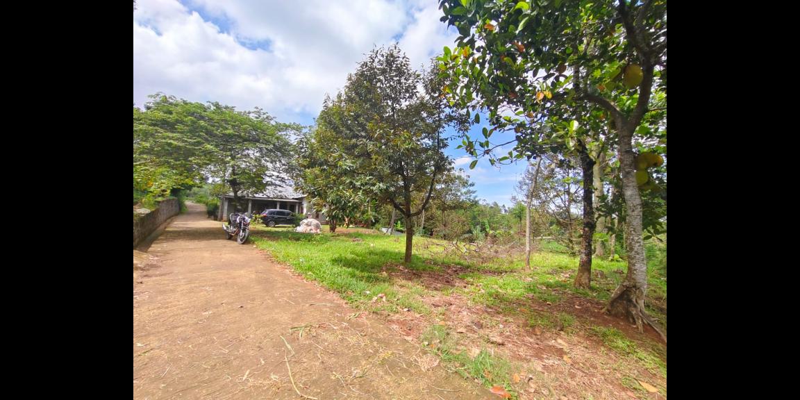 Tanah 750m² Cocok Untuk Villa Ngargoyoso Karanganyar Tanah 750m² Cocok Untuk Villa Ngargoyoso Karanganyar