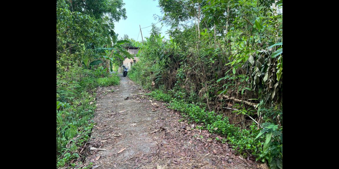 Tanah 1355m² 300 Juta Utara Pasar Matesih Karanganyar Tanah 1355m² 300 Juta Utara Pasar Matesih Karanganyar