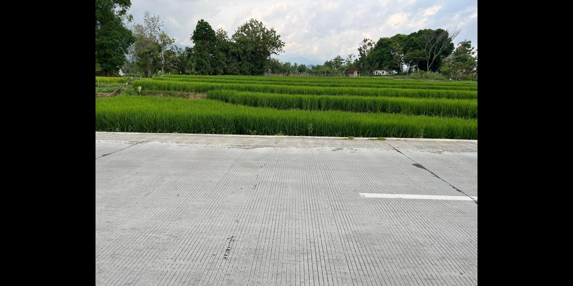 Tanah Subur 2906m Matesih Karanganyar Tanah Subur 2906m Matesih Karanganyar