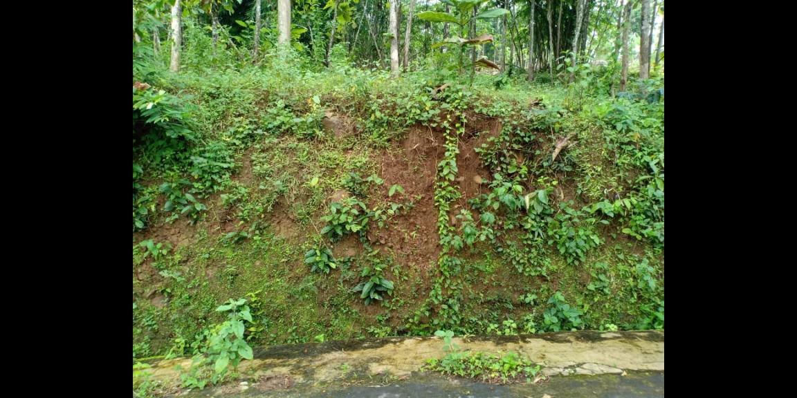 Tanah Kebun Jati 4000m² Dekat Objek Wisata Mojogedang Karanganyar Tanah Kebun Jati 4000m² Dekat Objek Wisata Mojogedang Karanganyar