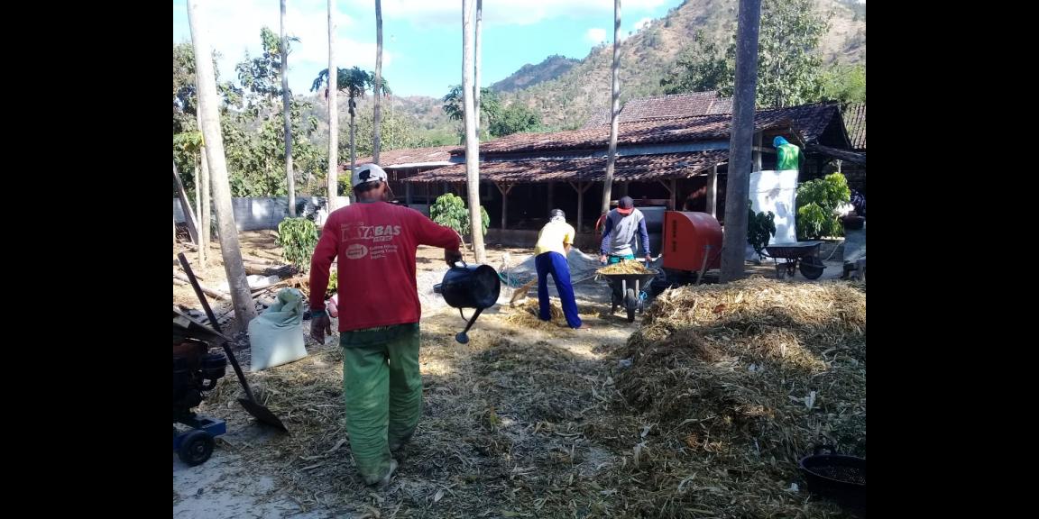 Lahan peternakan lengkap dgn kandang sapi, kambing, ayam, kolam, kebun Lahan peternakan lengkap dgn kandang sapi, kambing, ayam, kolam, kebun