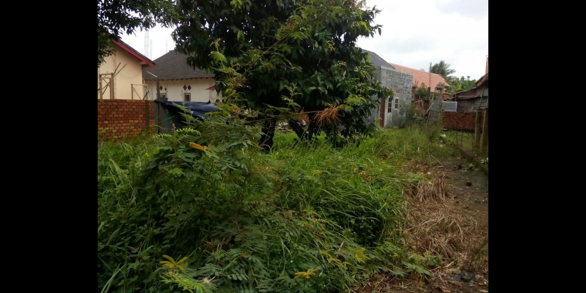 Tanah dan Rumah lokasi strategis di pusat kota Palembang Tanah dan Rumah lokasi strategis di pusat kota Palembang