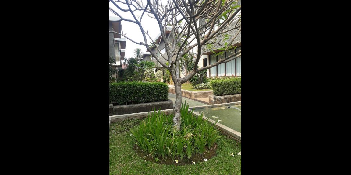 Dijual murah Town House 3 Lt NCasa Jakarta Selatan. Dijual murah Town House 3 Lt NCasa Jakarta Selatan.