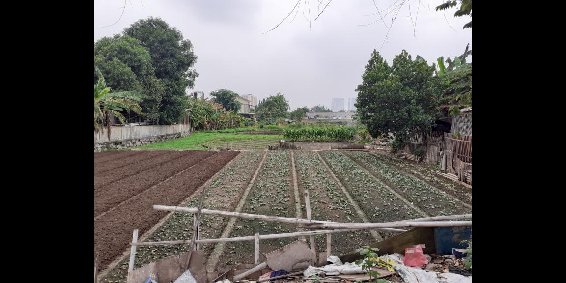 Dijual Lahan Cocok Untuk Perumahan Di Jakarta Barat Lokasi Strategis 7Jt/Meter Dijual Lahan Cocok Untuk Perumahan Di Jakarta Barat Lokasi Strategis 7Jt/Meter