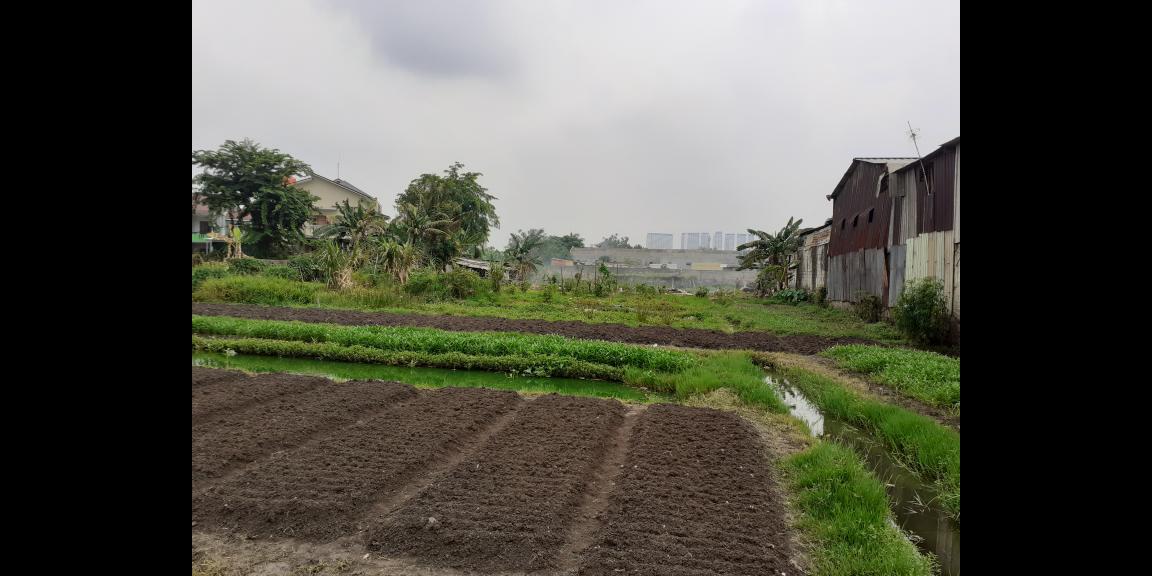 Dijual Lahan Cocok Untuk Perumahan Di Jakarta Barat Lokasi Strategis 7Jt/Meter Dijual Lahan Cocok Untuk Perumahan Di Jakarta Barat Lokasi Strategis 7Jt/Meter