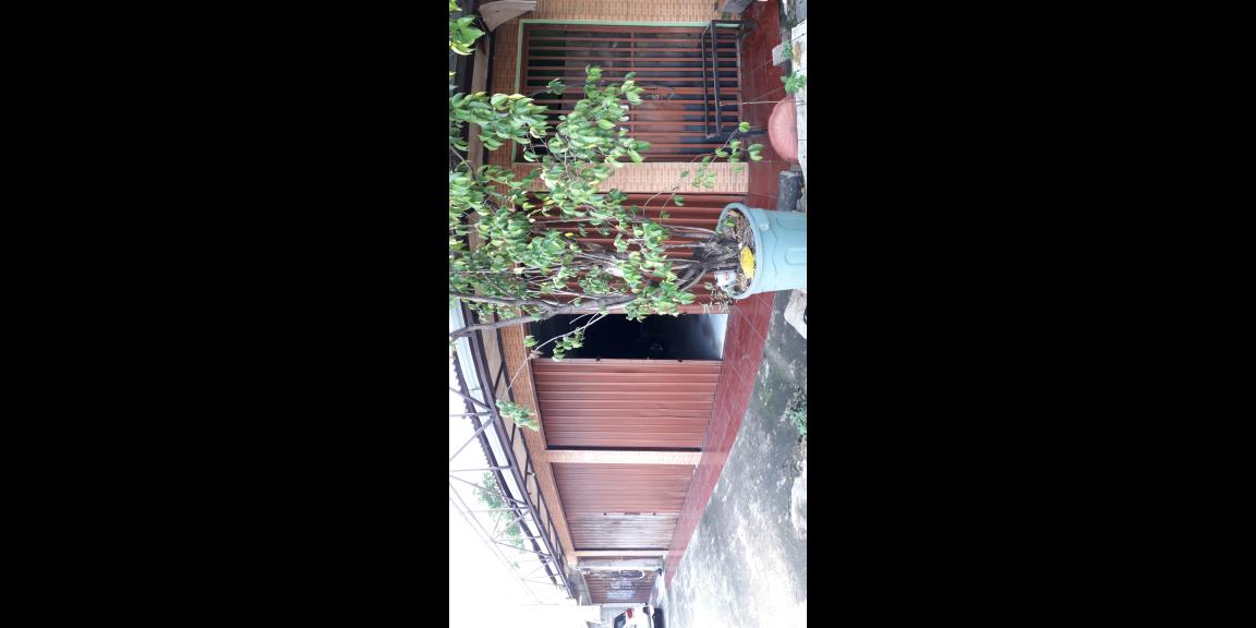 Dijual rumah strategis Dijual rumah strategis