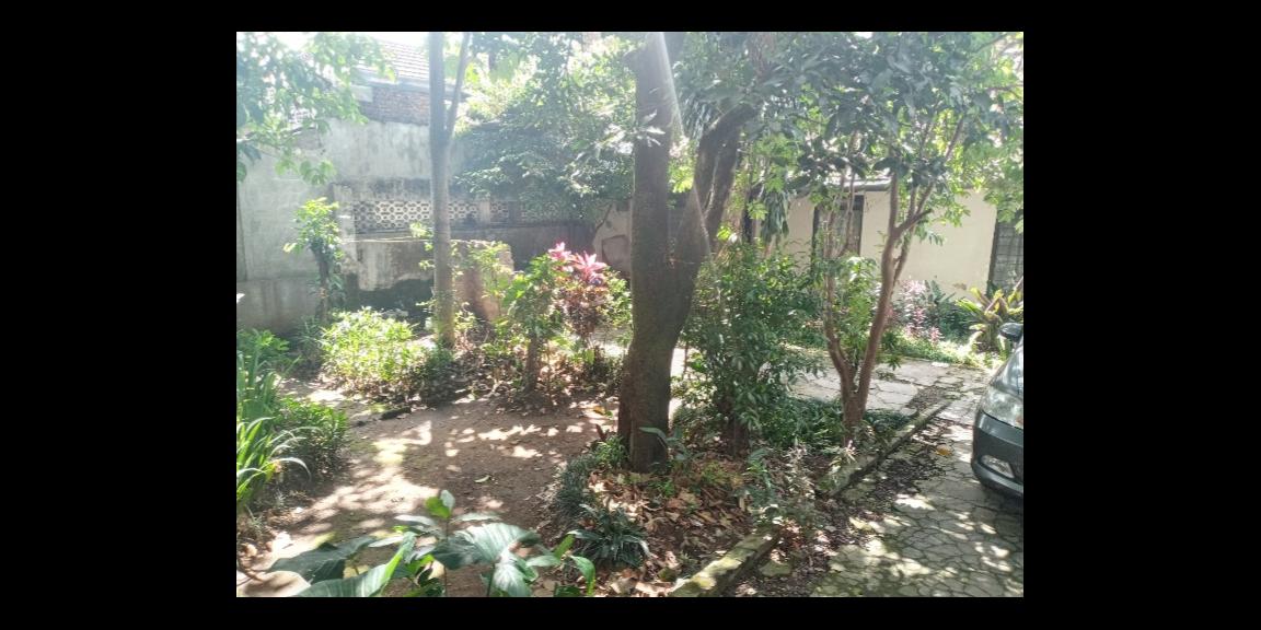 Rumah Murah 286M2 Jln Jurang Sukajadi Bandung. Rumah Murah 286M2 Jln Jurang Sukajadi Bandung.