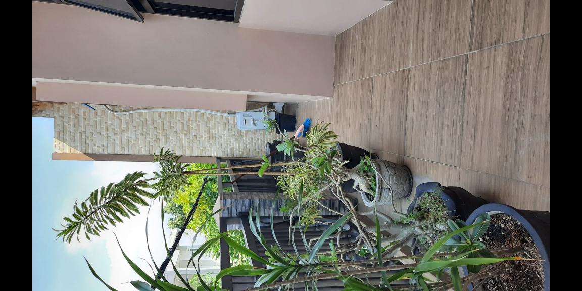 WESTERN REGENCY SEMEMI ONE GATE SYSTEM SIAP HUNI WESTERN REGENCY SEMEMI ONE GATE SYSTEM SIAP HUNI