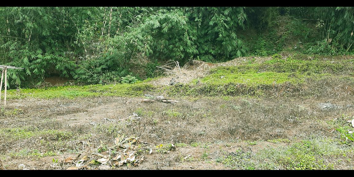 TANAH DARAT DI SINDANGLAYA BANDUNG TANAH DARAT DI SINDANGLAYA BANDUNG