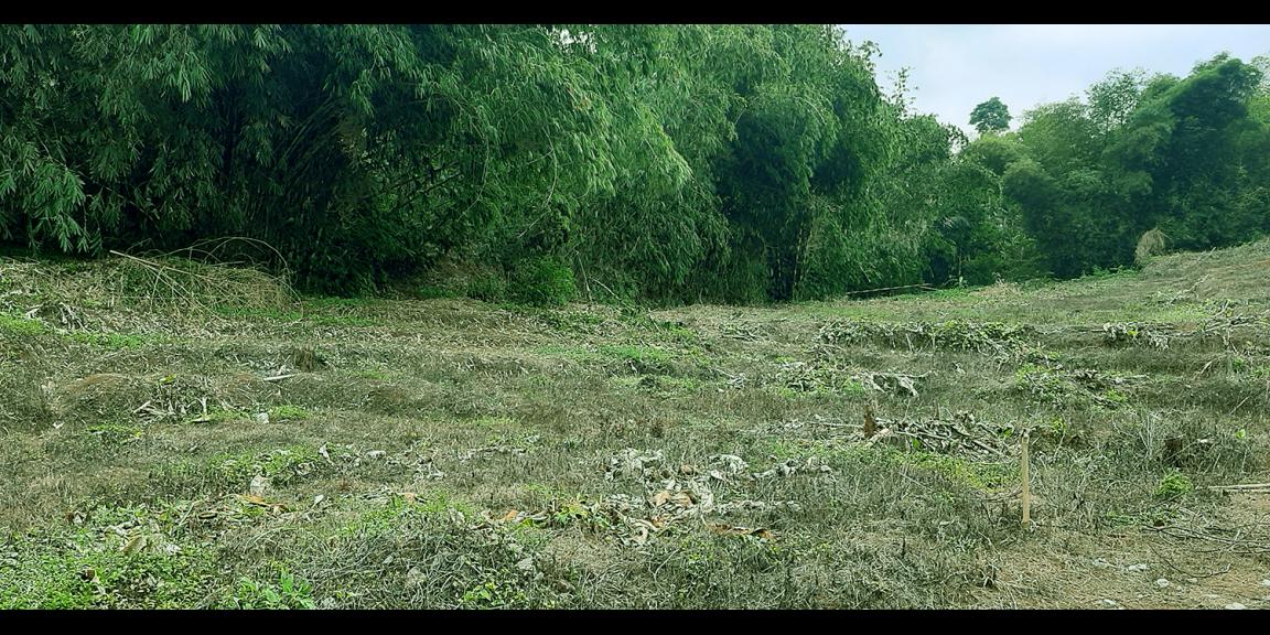 TANAH DARAT DI SINDANGLAYA BANDUNG TANAH DARAT DI SINDANGLAYA BANDUNG