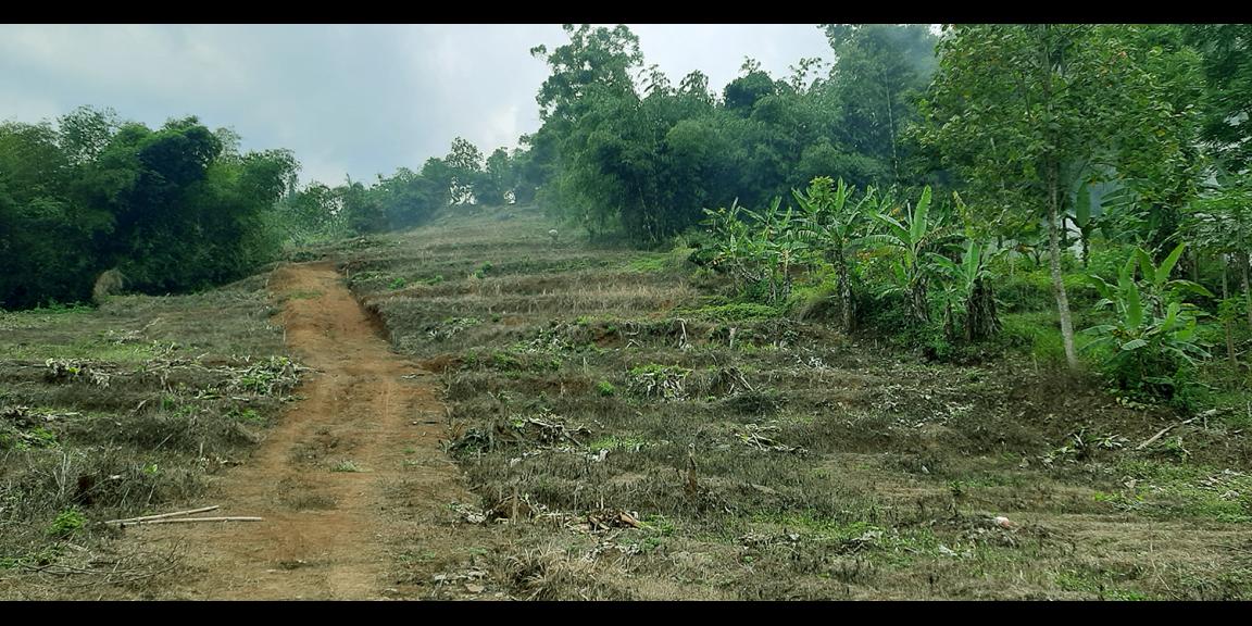 TANAH DARAT DI SINDANGLAYA BANDUNG TANAH DARAT DI SINDANGLAYA BANDUNG