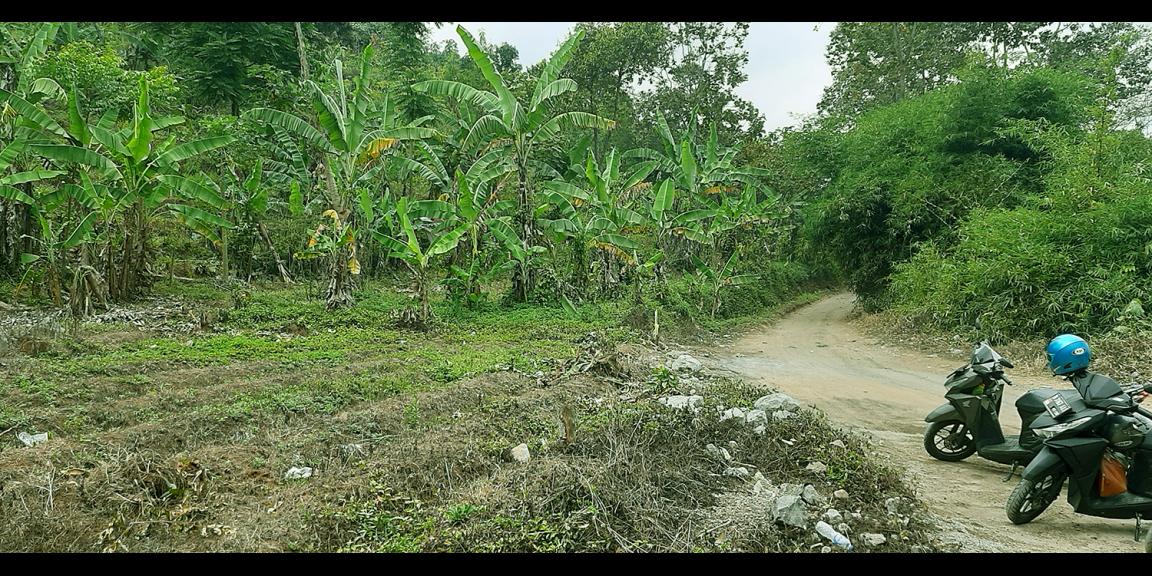 TANAH DARAT DI SINDANGLAYA BANDUNG TANAH DARAT DI SINDANGLAYA BANDUNG