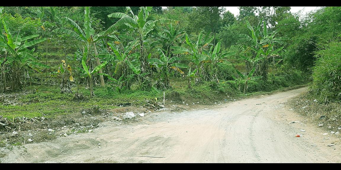 TANAH DARAT DI SINDANGLAYA BANDUNG TANAH DARAT DI SINDANGLAYA BANDUNG