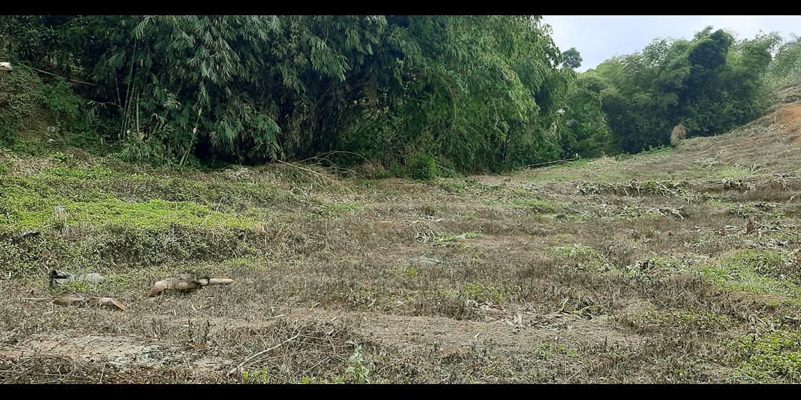 TANAH DARAT DI SINDANGLAYA BANDUNG TANAH DARAT DI SINDANGLAYA BANDUNG