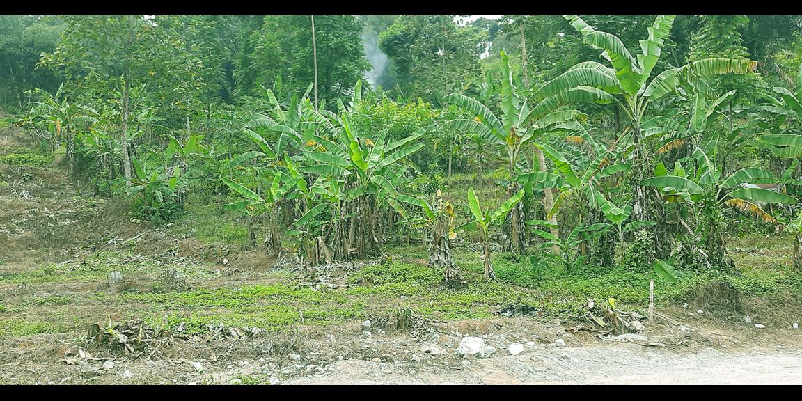 TANAH DARAT DI SINDANGLAYA BANDUNG TANAH DARAT DI SINDANGLAYA BANDUNG