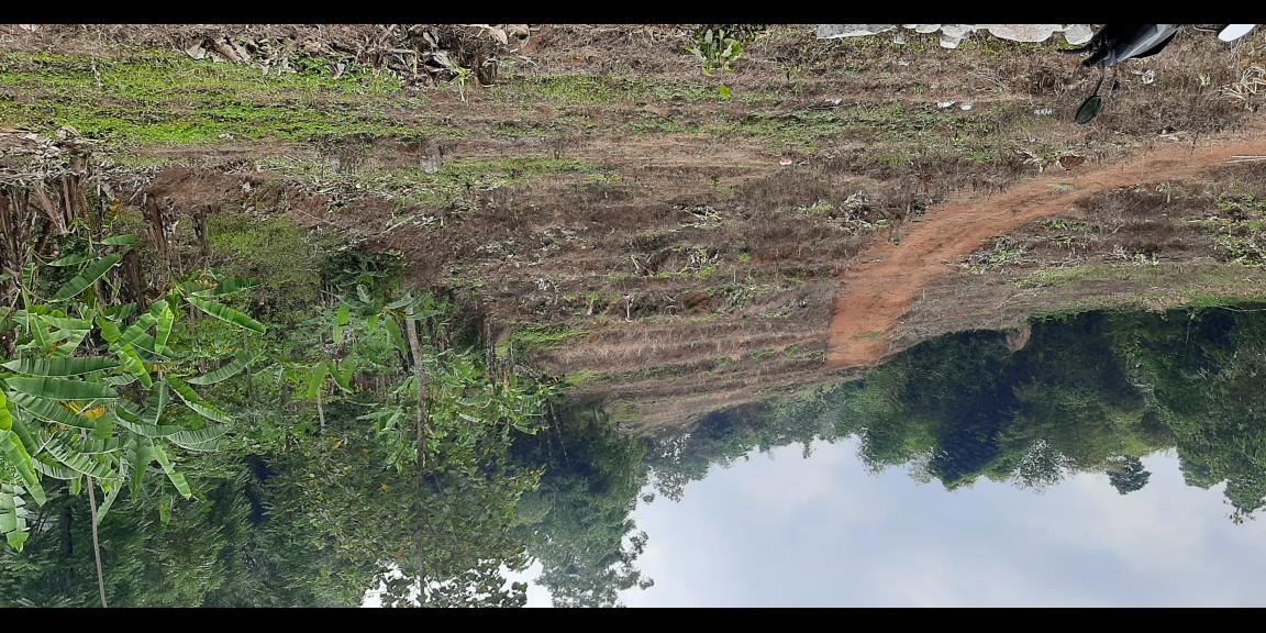 TANAH DARAT DI SINDANGLAYA BANDUNG TANAH DARAT DI SINDANGLAYA BANDUNG