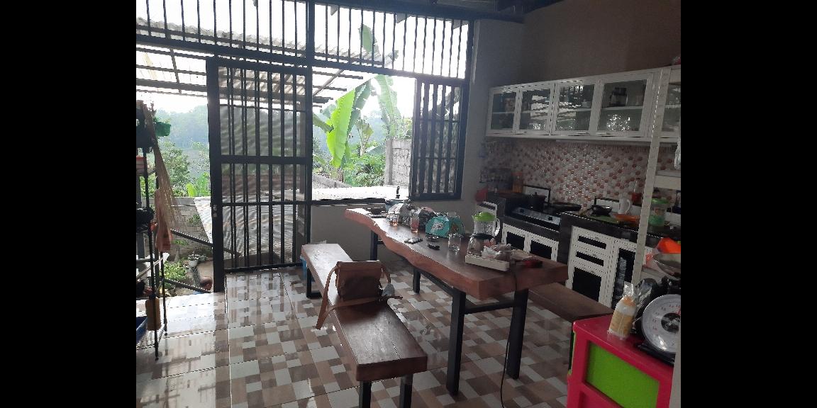 DIJUAL USAHA HIDROPONIK YANG SUDAH JALAN DI MOJAN JEMBER DIJUAL USAHA HIDROPONIK YANG SUDAH JALAN DI MOJAN JEMBER