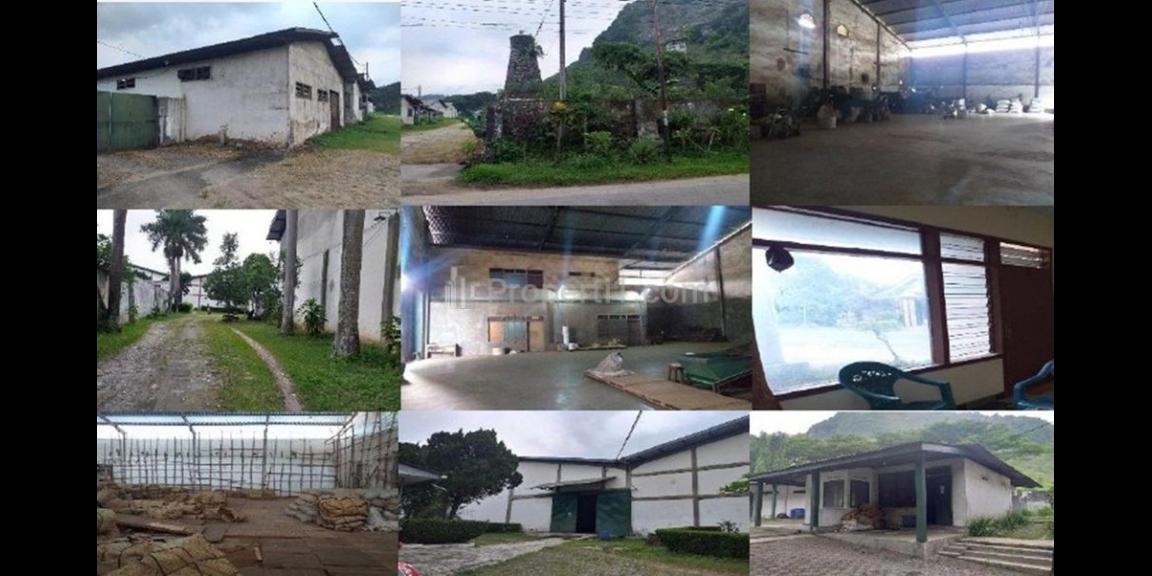 Dijual Gudang Kosong di Sukorejo Wetan, Kabupaten Tulungagung Dijual Gudang Kosong di Sukorejo Wetan, Kabupaten Tulungagung