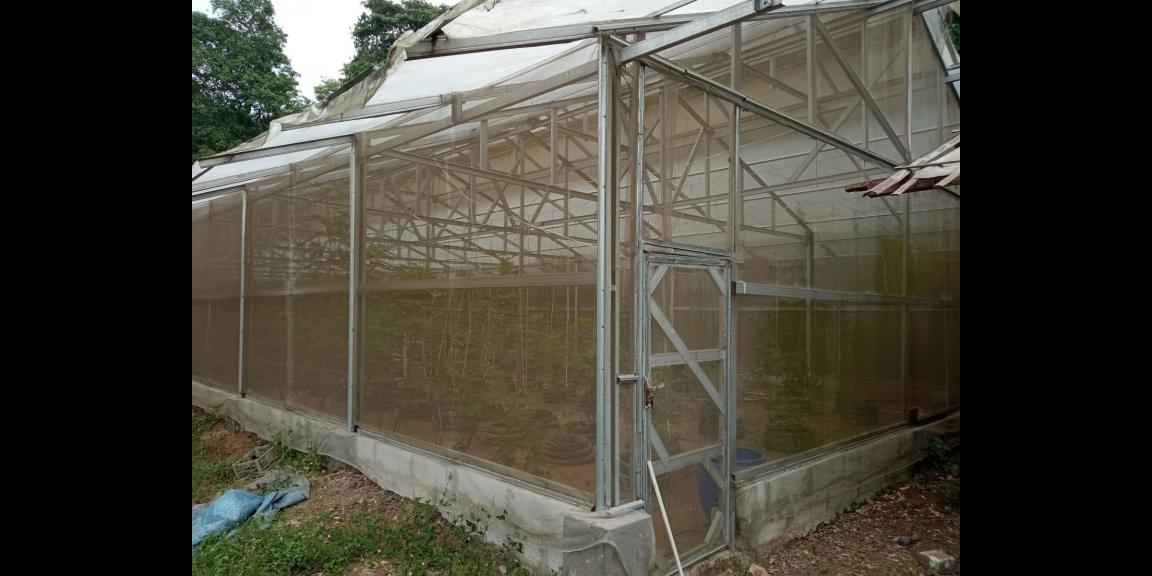 DIJUAL LAHAN KEBUN HOLTIKULTURA BUAH NAGA & TIN LINGKAR SELATAN, CILEGON DIJUAL LAHAN KEBUN HOLTIKULTURA BUAH NAGA & TIN LINGKAR SELATAN, CILEGON