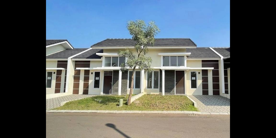 The Paradise Park The Paradise Park