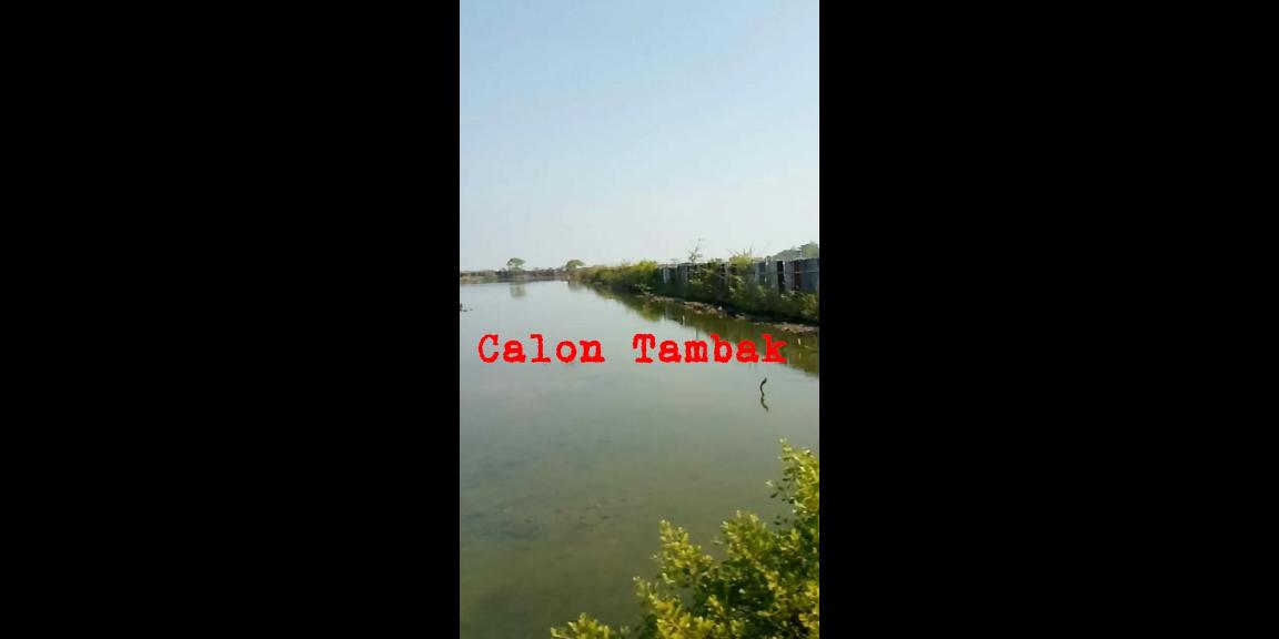 Jual tanah dan Tambak di Pantai blebak jepara Jual tanah dan Tambak di Pantai blebak jepara