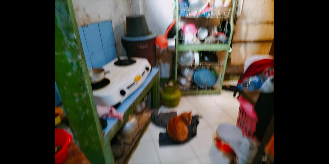 Dijual Cepat Rumah Cianjur Murah Nego Sampai Jadi Dijual Cepat Rumah Cianjur Murah Nego Sampai Jadi