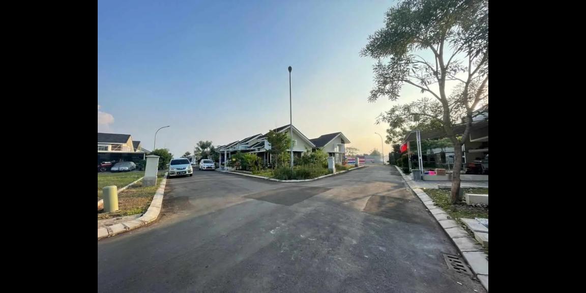 The Paradise Park The Paradise Park