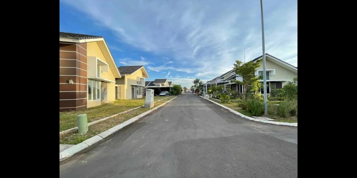 The Paradise Park The Paradise Park