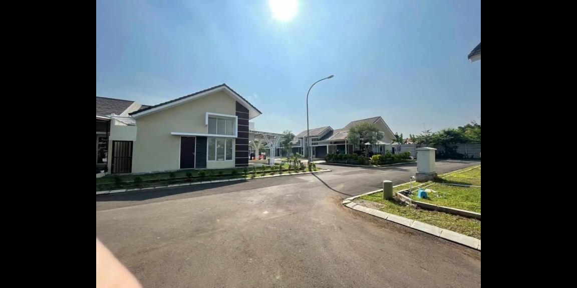 The Paradise Park The Paradise Park