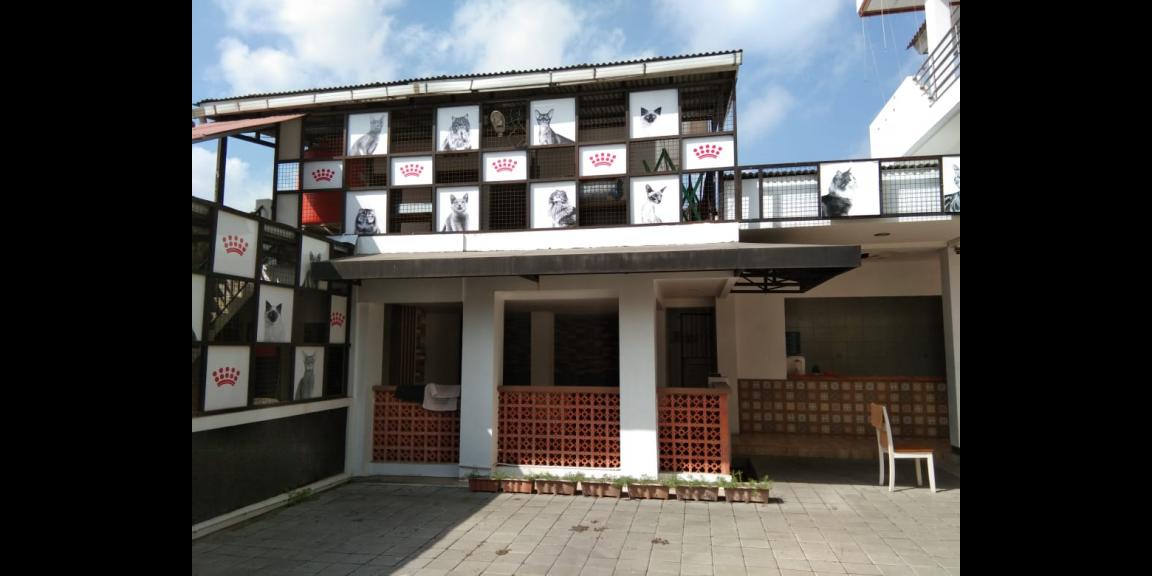 STRATEGIS DI TENGAH KOTA! GEDUNG 2 LANTAI COCOK UNTUK APA AJA Lokasi di ekat Mandala Krida STRATEGIS DI TENGAH KOTA! GEDUNG 2 LANTAI COCOK UNTUK APA AJA Lokasi di ekat Mandala Krida