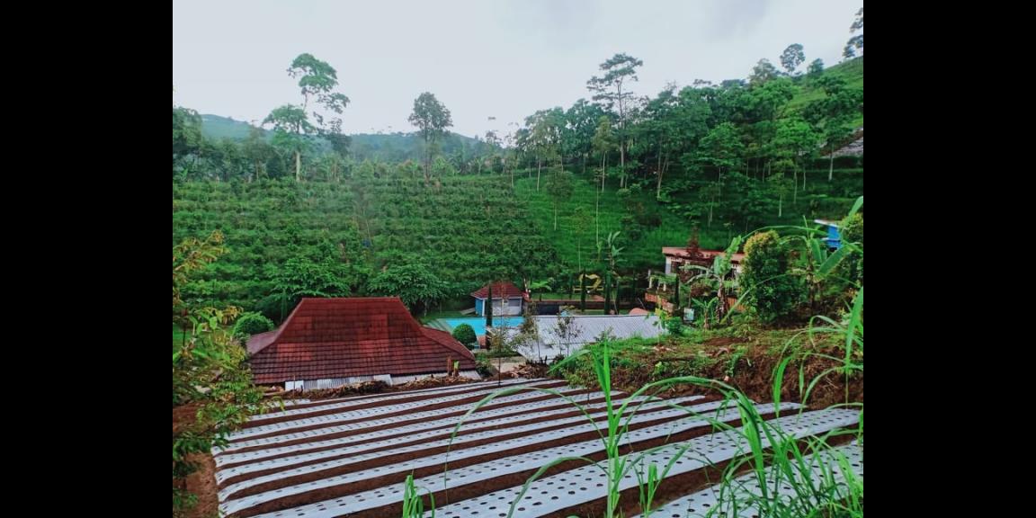 Jual Tanah 150m² View Perbukitan Kemuning Ngargoyoso Karanganyar Jual Tanah 150m² View Perbukitan Kemuning Ngargoyoso Karanganyar