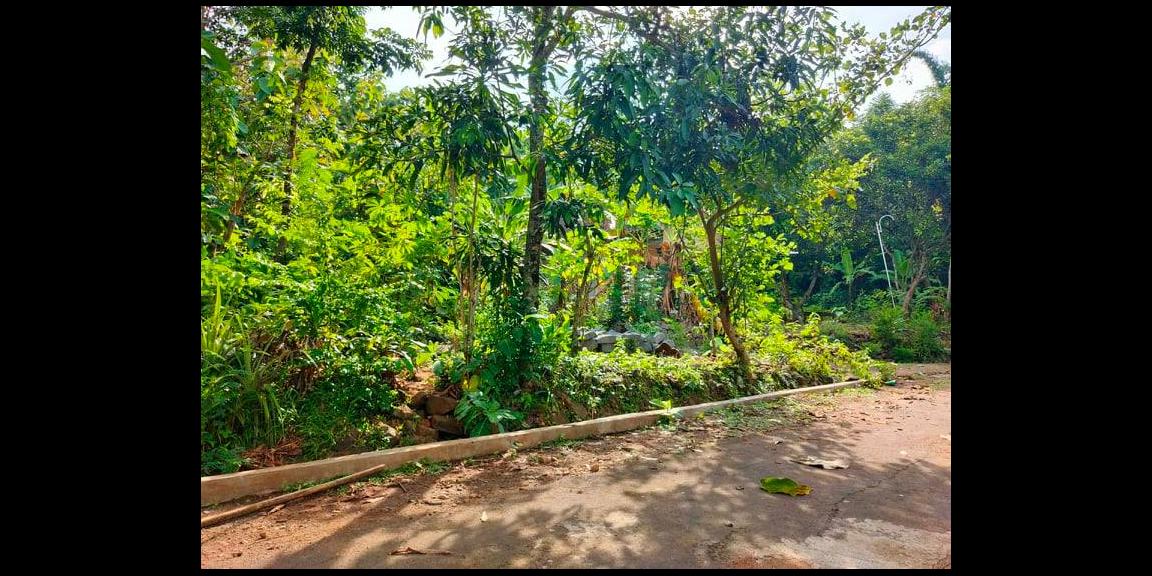 Dijual Tanah Super Datar 1500m² Kerjo Karanganyar Dijual Tanah Super Datar 1500m² Kerjo Karanganyar