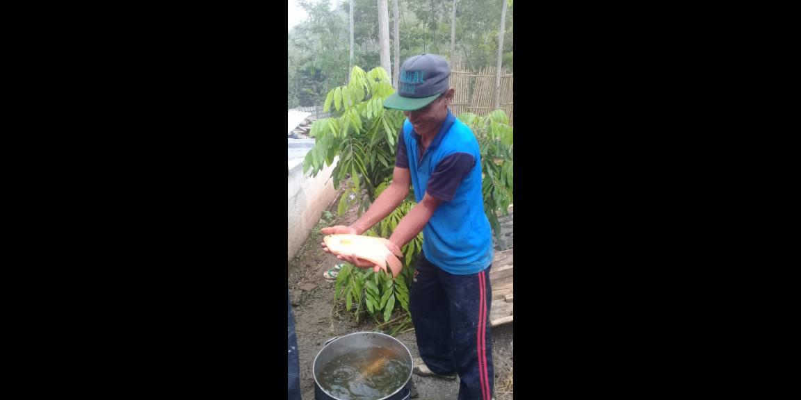 Lahan peternakan lengkap dgn kandang sapi, kambing, ayam, kolam, kebun Lahan peternakan lengkap dgn kandang sapi, kambing, ayam, kolam, kebun