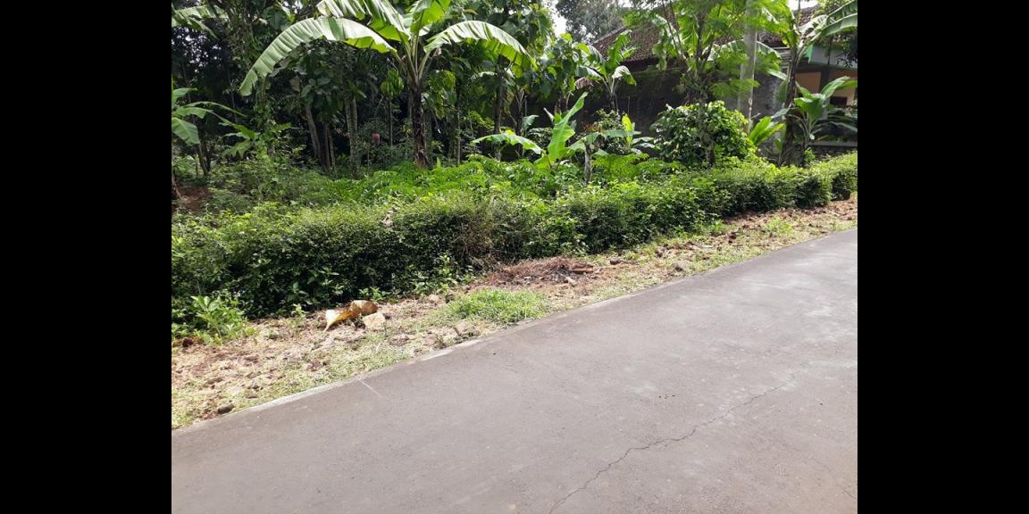 Dijual Tanah Strategis 303m² Kuto Kerjo Karanganyar Dijual Tanah Strategis 303m² Kuto Kerjo Karanganyar