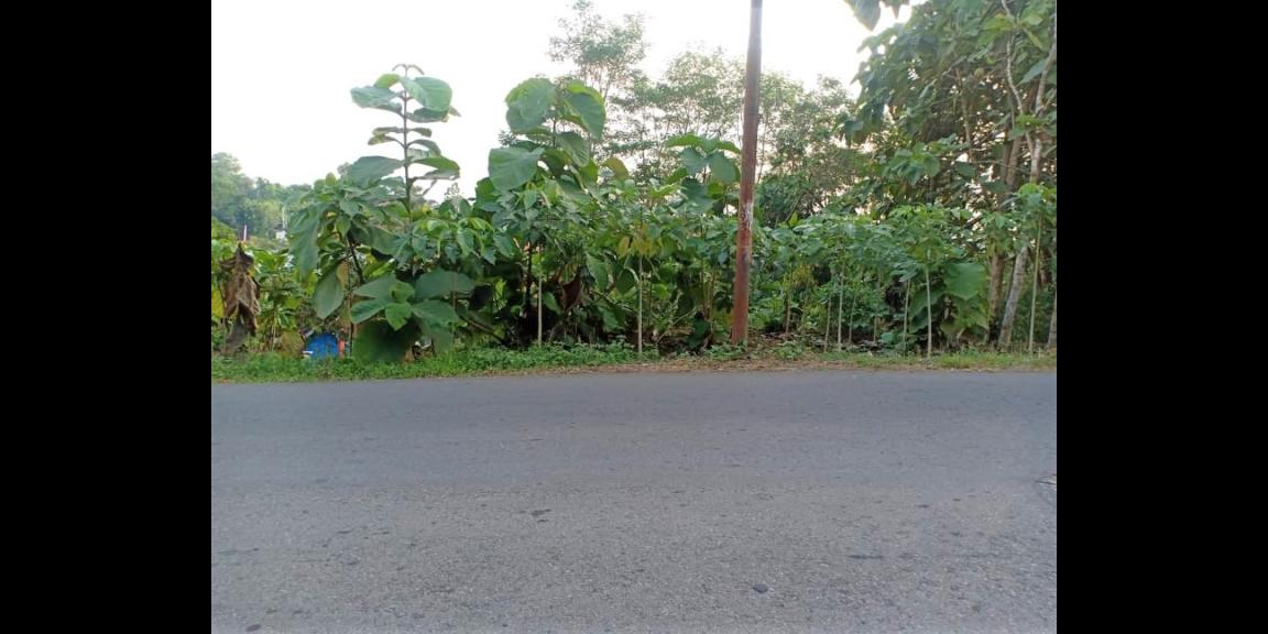 Dijual Tanah 677m² Tepi Jl Raya Mojogedang-Karangpandan Karanganyar Dijual Tanah 677m² Tepi Jl Raya Mojogedang-Karangpandan Karanganyar