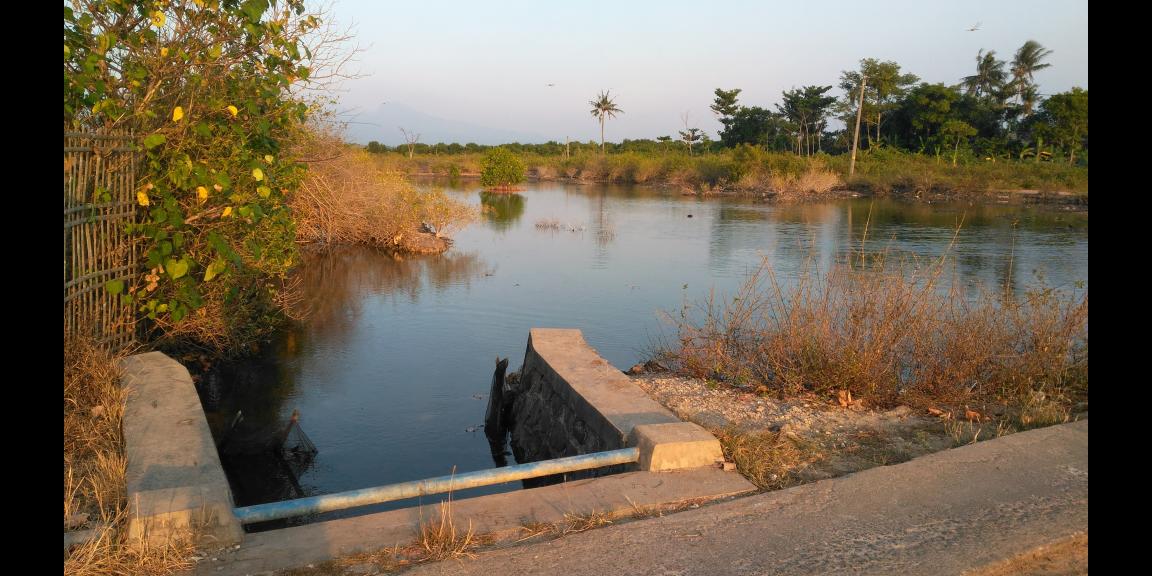 Jual tanah dan Tambak di Pantai blebak jepara Jual tanah dan Tambak di Pantai blebak jepara