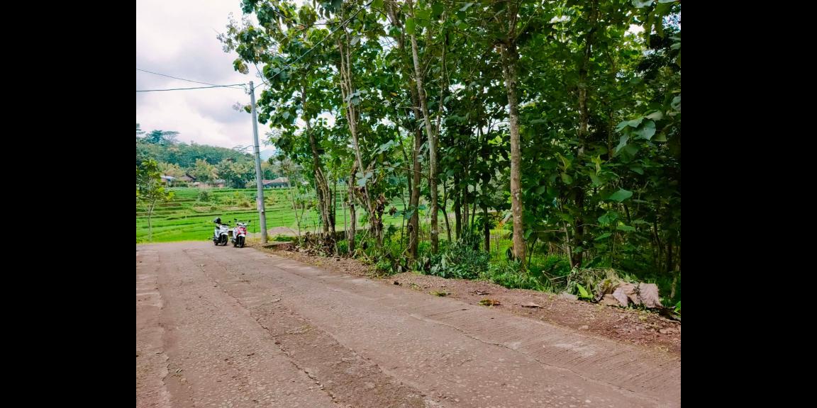 Tanah Strategis dibangun Villa Karangpandan Karanganyar Tanah Strategis dibangun Villa Karangpandan Karanganyar