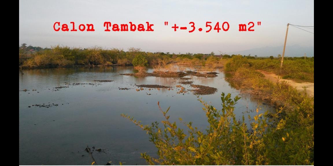 Jual tanah dan Tambak di Pantai blebak jepara Jual tanah dan Tambak di Pantai blebak jepara