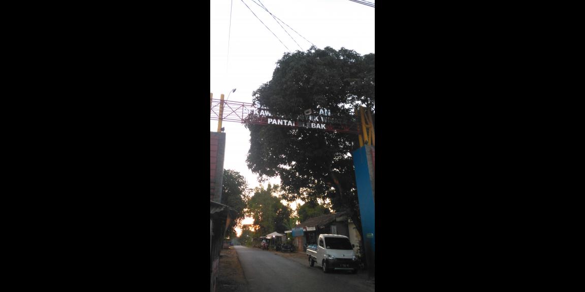 Jual tanah dan Tambak di Pantai blebak jepara Jual tanah dan Tambak di Pantai blebak jepara