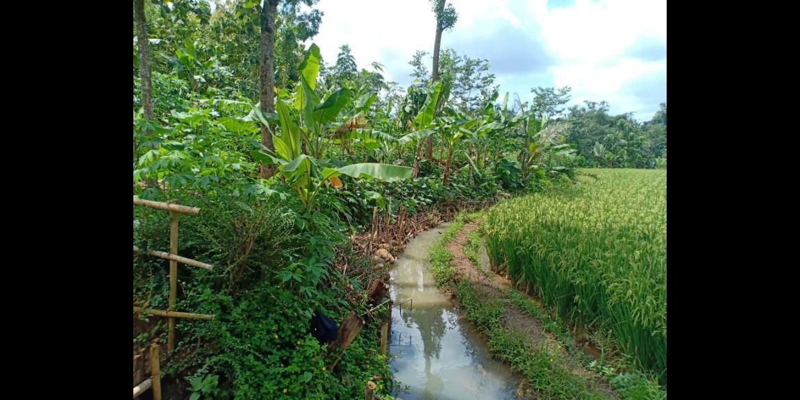 Tanah 1300m² View Sawah Kerjo Karanganyar Tanah 1300m² View Sawah Kerjo Karanganyar