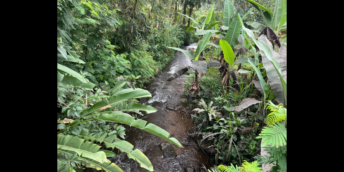 Tanah 1300m² Dekat Sungai Wisata River Tubing Ngargoyoso Tanah 1300m² Dekat Sungai Wisata River Tubing Ngargoyoso