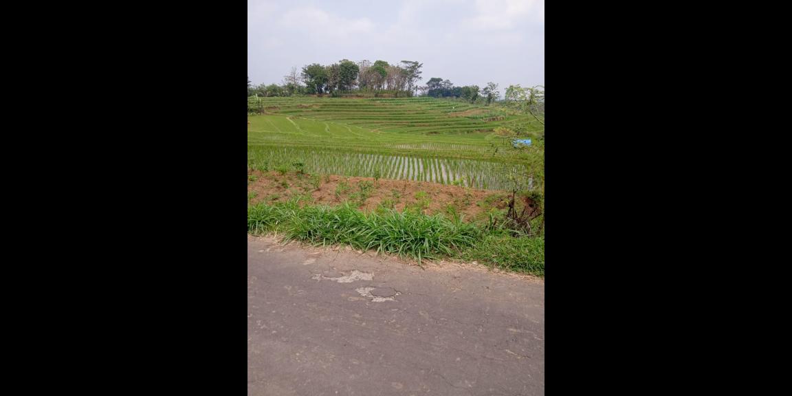 Tanah Datar 3416m View Solo Raya Kerjo, Karanganyar Tanah Datar 3416m View Solo Raya Kerjo, Karanganyar