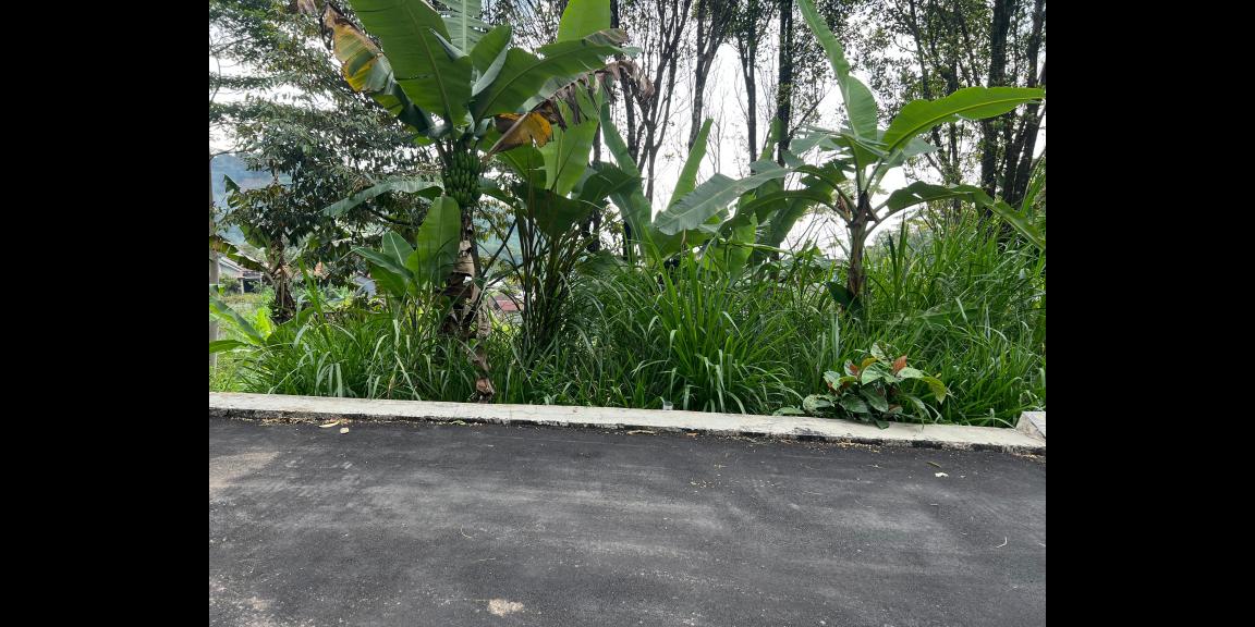 Tanah View Perbukitan 539m Utara Candi Cetho Karanganyar Tanah View Perbukitan 539m Utara Candi Cetho Karanganyar