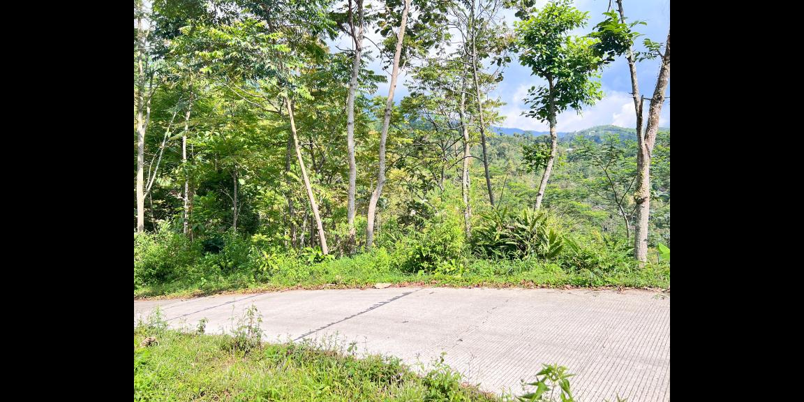 Tanah Murah 9803m 200rb/m Utara Candi Cetho Karanganyar Tanah Murah 9803m 200rb/m Utara Candi Cetho Karanganyar