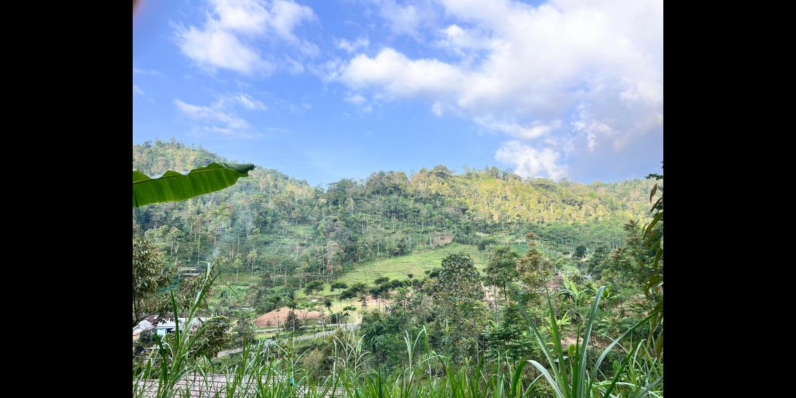 Tanah Istimewa 1721m Dekat Sungai Candi Cetho Karanganyar Tanah Istimewa 1721m Dekat Sungai Candi Cetho Karanganyar