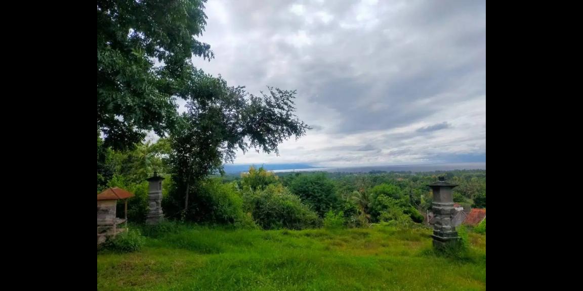 Tanah di Jalan Damai Daerah Kayu Putih Buleleng Tanah di Jalan Damai Daerah Kayu Putih Buleleng