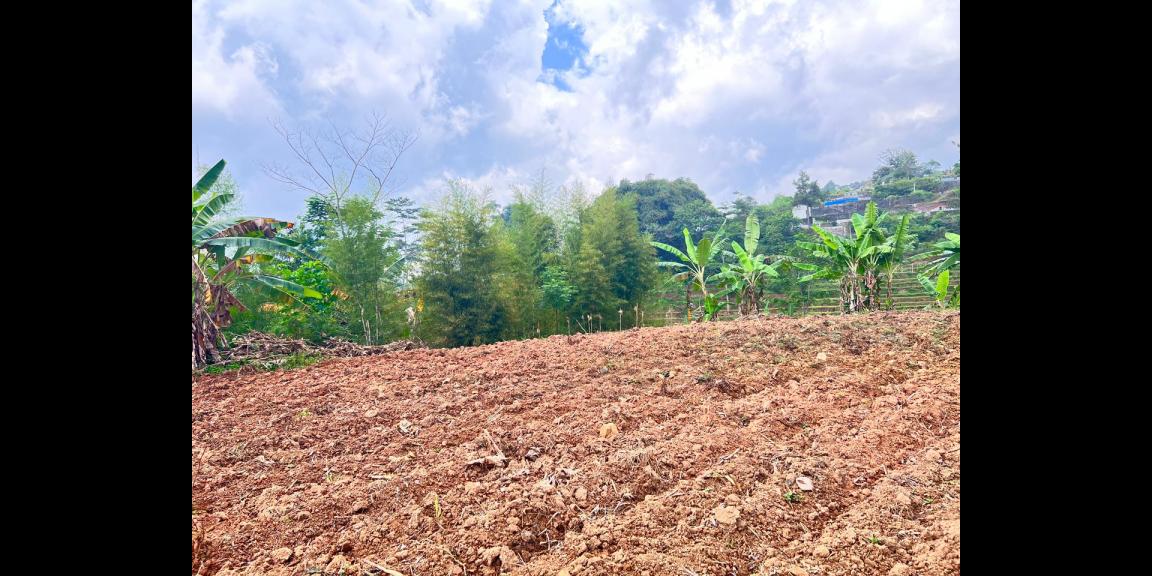 Tanah 1,2 Hektar Strategis Dekat Pasar Karangpandan Tanah 1,2 Hektar Strategis Dekat Pasar Karangpandan