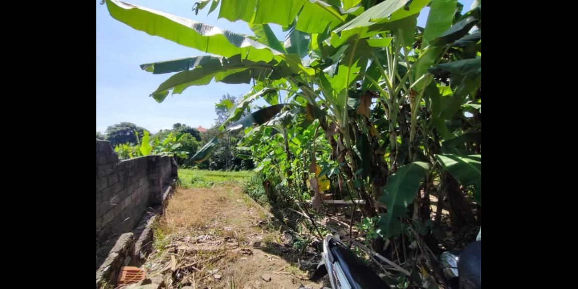 Jual Tanah Murah di Jalan Raya Takmung Klungkung Jual Tanah Murah di Jalan Raya Takmung Klungkung